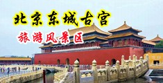 鸡吧操逼视频一区中国北京-东城古宫旅游风景区